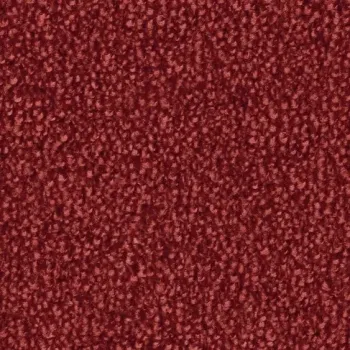 Vorwerk Safira Teppichboden Farbcode 1N27 – Draufsicht ohne Etikett